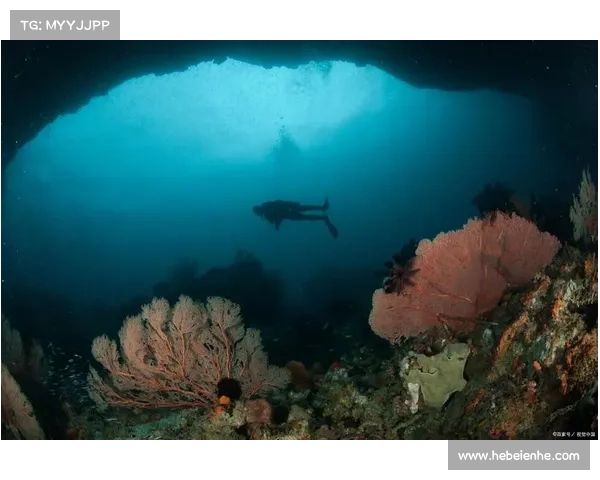 揭开人鱼之心的秘密与传说探索海洋深处的神秘与浪漫 揭开人鱼之心的秘密与传说探索海洋深处的神秘与浪漫