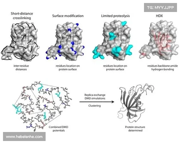 冰虫鳞片结构解析与生物材料应用前景探索 冰虫鳞片结构解析与生物材料应用前景探索